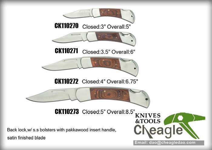 CK110170 -lockback knife