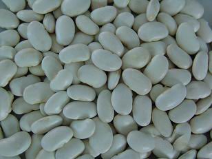kidney beans new crop