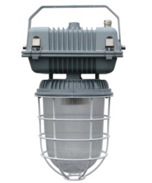 safety lamp fixture