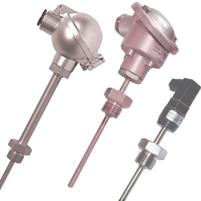 RTD probes with terminal head and replaceable insert