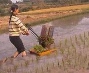 hand-operated rice transplanter