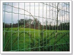 wire mesh fence