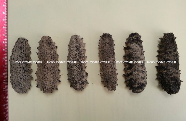 Dried Mexican Sea Cucumber