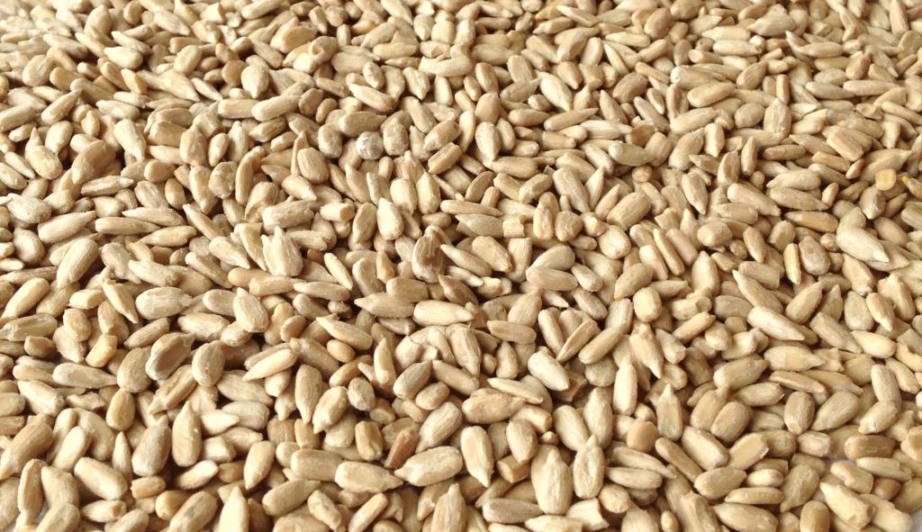 sunflower kernels bakery grade, hulled sunflower seeds bakery grade