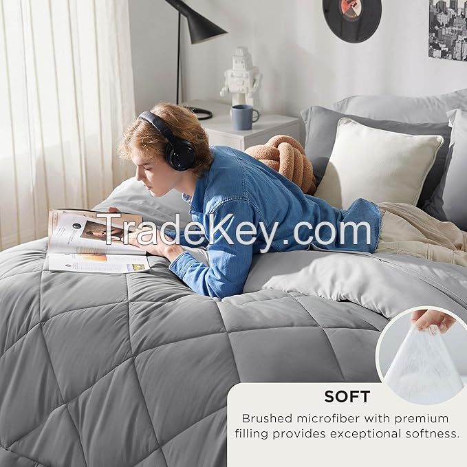 Comforters Queen Size, All Season Duvet Insert, Down Alternative Box Stitched Bed Comforter with Corner Tabs, Machine Washable