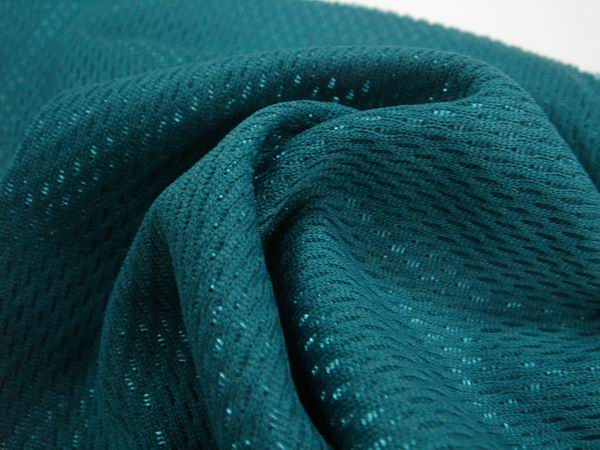 shinny fabric/birdeye fabric/polyester fabric