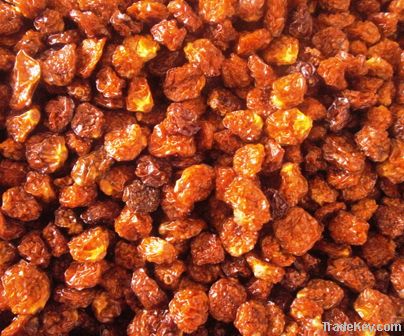 Golden Berry / Aguaymanto - Raisins or Fresh