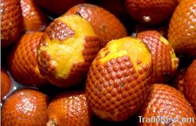 Buriti / Aguaje -  Oil or Raw Powder fruit