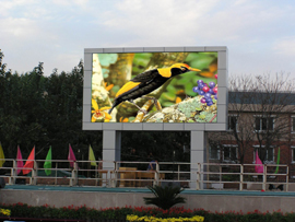 Outdoor LED moving sign