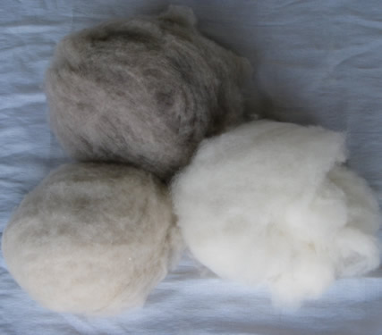 cashmere ;wool  fibre