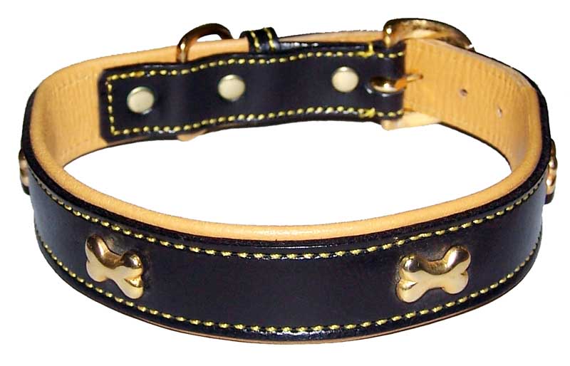 Dog Collars & Accessories