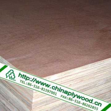 Construction Plywood