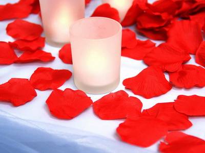 Artificial Rose Petals(Red)