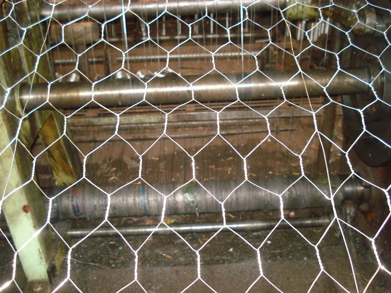 wire mesh
