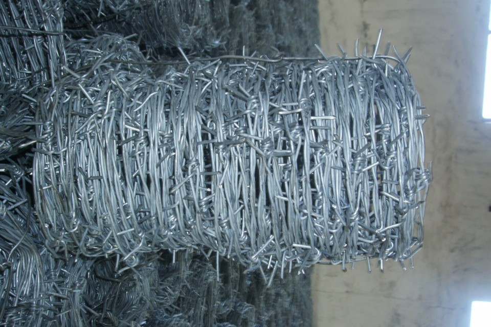 barbed wire