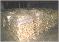 Sawsust briquettes