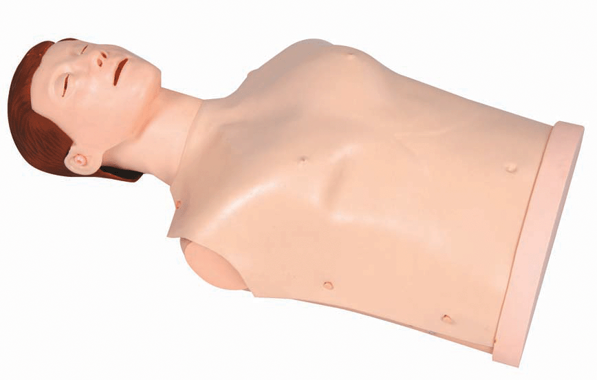 HALF-BODY CPR TRAINING MANIKIN