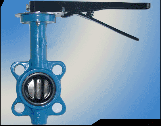 Butterfly Valve