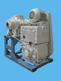 Roots Pump Systems with Rotary Piston Vacuum Pumps