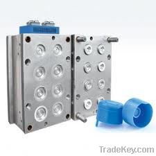 pet mould, preform mould , hot runner cap mould, bottle blowing mould