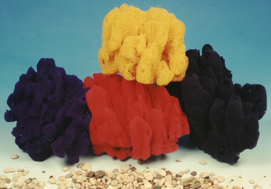 Decorative Sponges