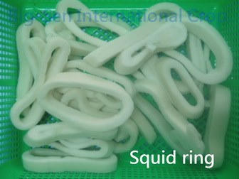 Frozen Squid Ring IQF
