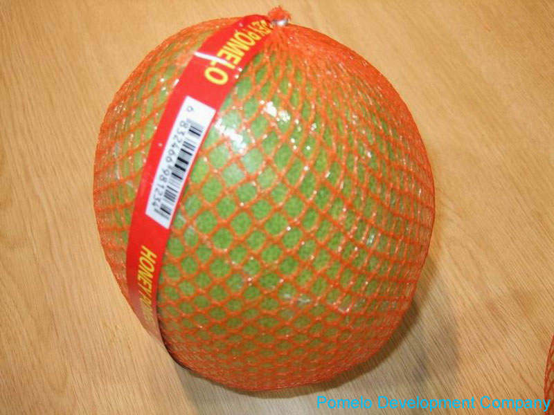 Pomelo Fruit