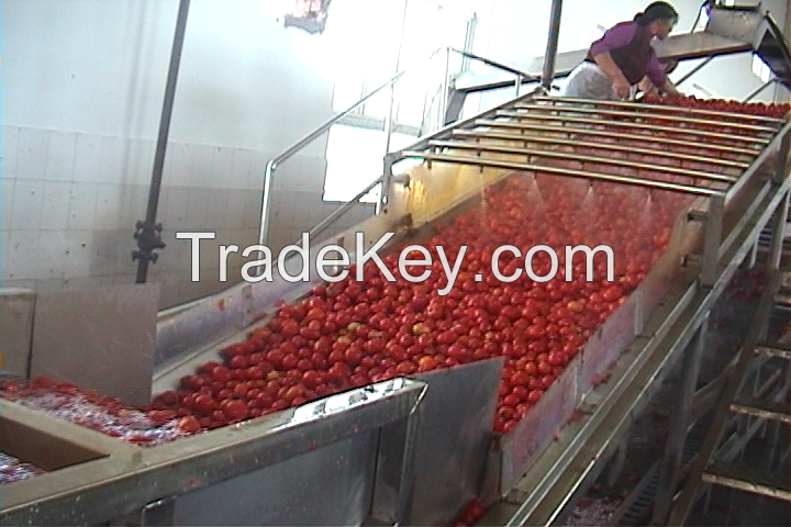 Vegetable And Fruit Washing Machine Industrial Equipment, Commercial Vegetable Washer For Sale 