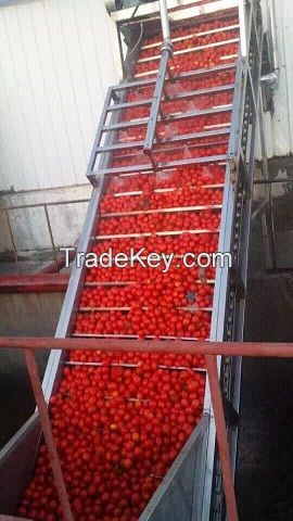 Tomato processing equipment , fruit paste production plant