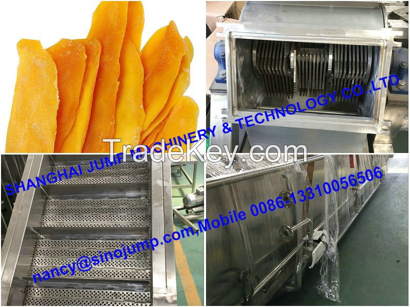 High-Quality Mango Pulp/Puree Processing Line