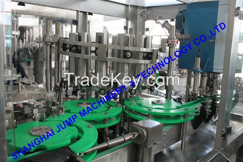 High-Quality Mango Pulp/Puree Processing Line