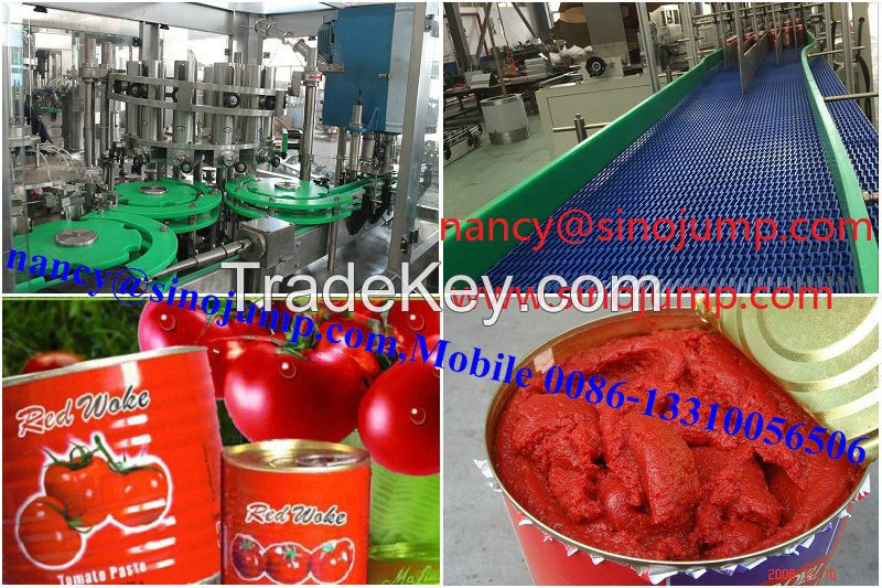 Xinjiang Aseptic Package Tomato Paste Concentrate Brix 28-30% Hot Break