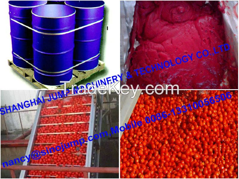 Xinjiang Aseptic Package Tomato Paste Concentrate Brix 28-30% Hot Break