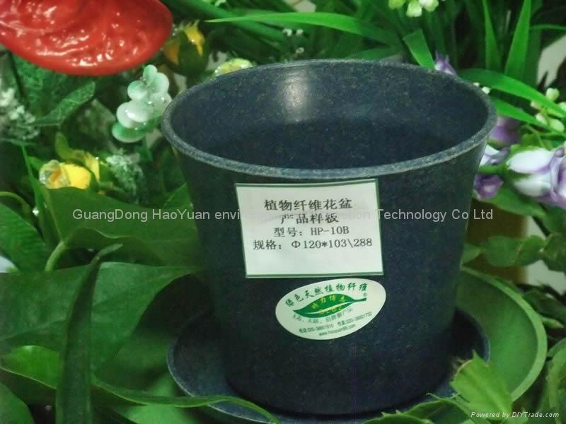 Eco-friendly Biodegradable Flowerpot