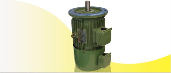 Inverter motor Flange(B5)