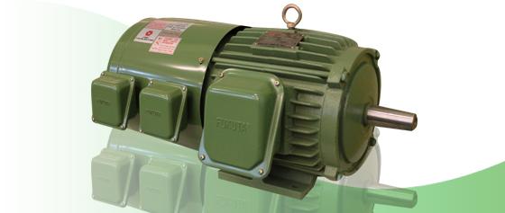 Inverter duty motor Foot(B3)