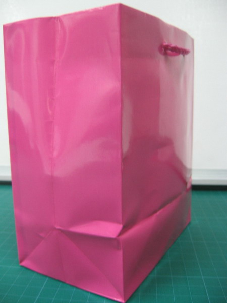 4c Printed Solid pink colour Bag