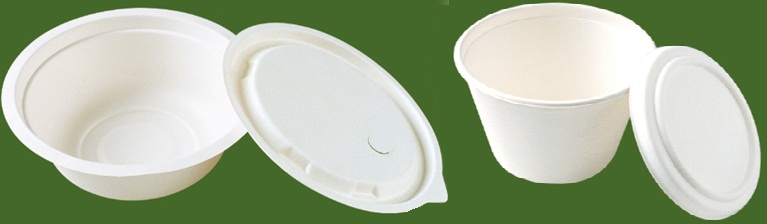 biodegradeable bowl with lid