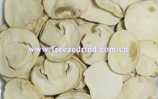 Freeze Dried Mushroom Slice/Dice/Powder