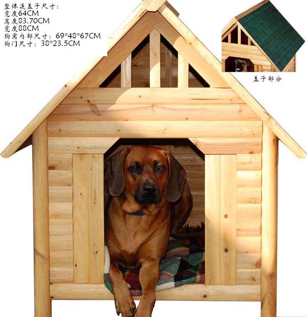 dog house