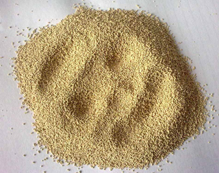 yeast powder with high fermentation power