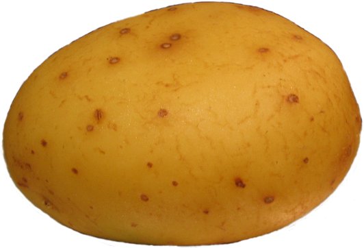 potato, onion