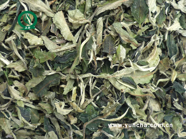 Kaixin Green tea-white peony