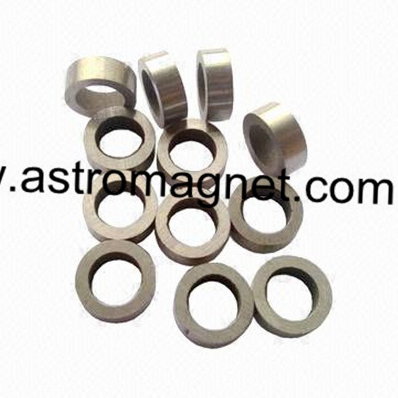 Ring   Alnico  Magnets