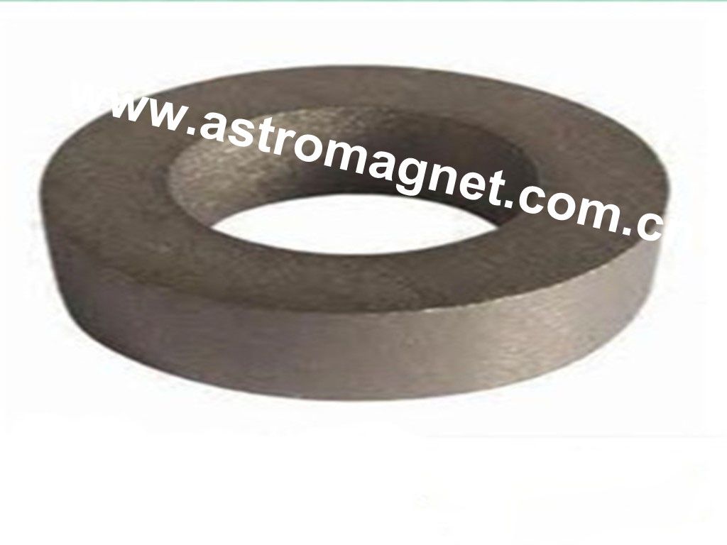 Ring  Samarium   Cobalt   Magnet