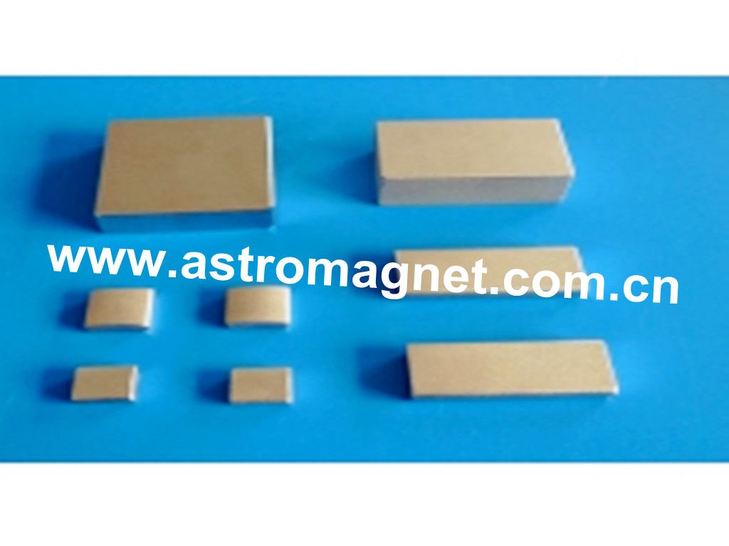 Block  Samarium  Cobalt   Magnet   for  DC  Brushless  Motors  