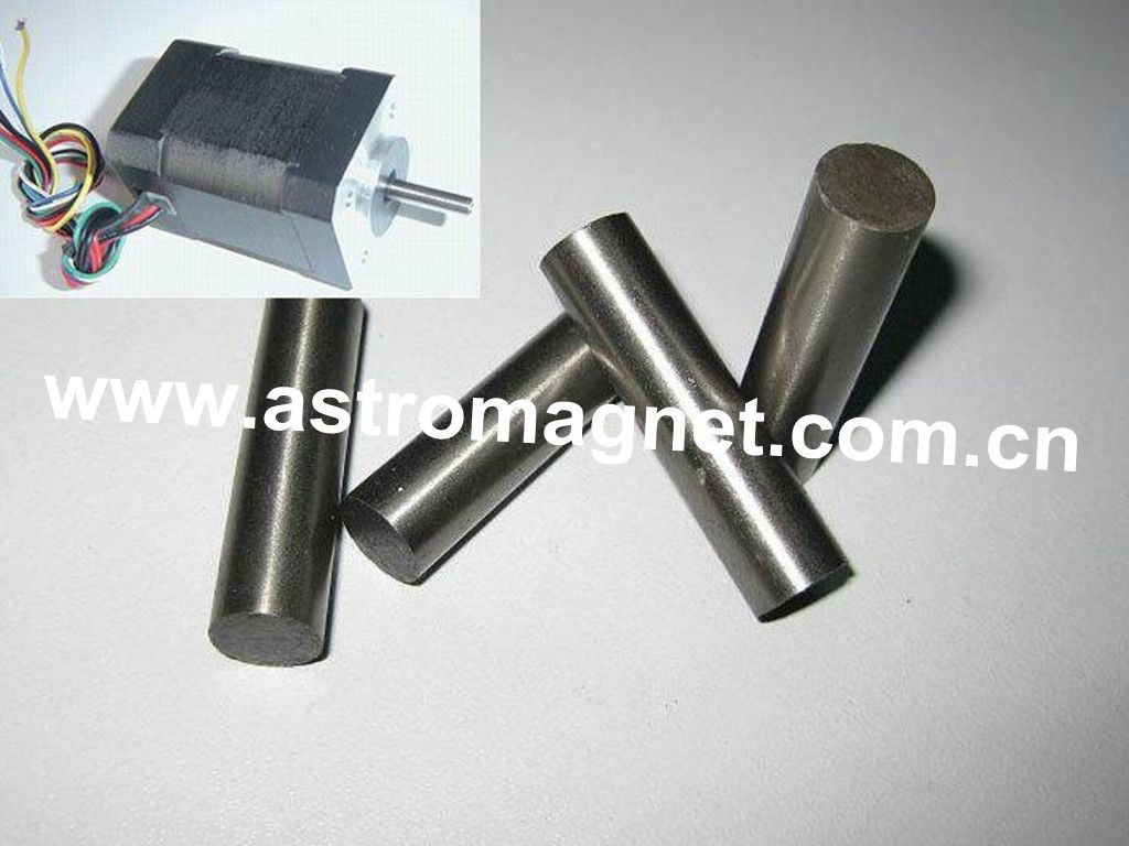 Neodymium   Magnet   Used  in  Motors   