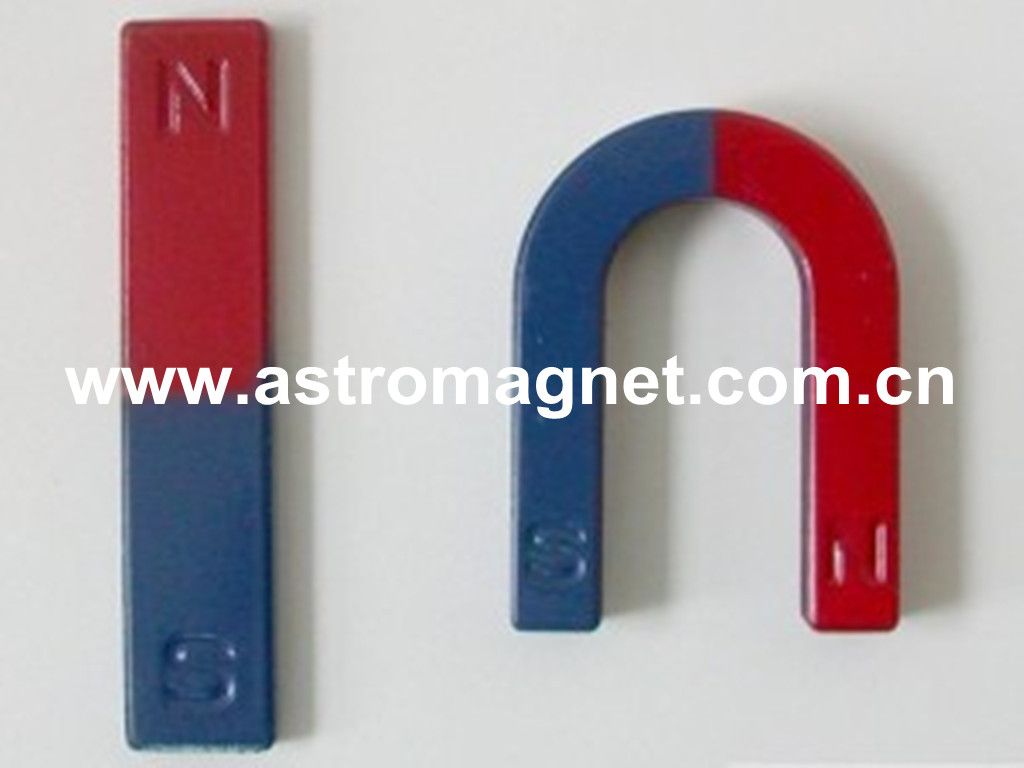 Educational    Magnet  with  widely   Usage