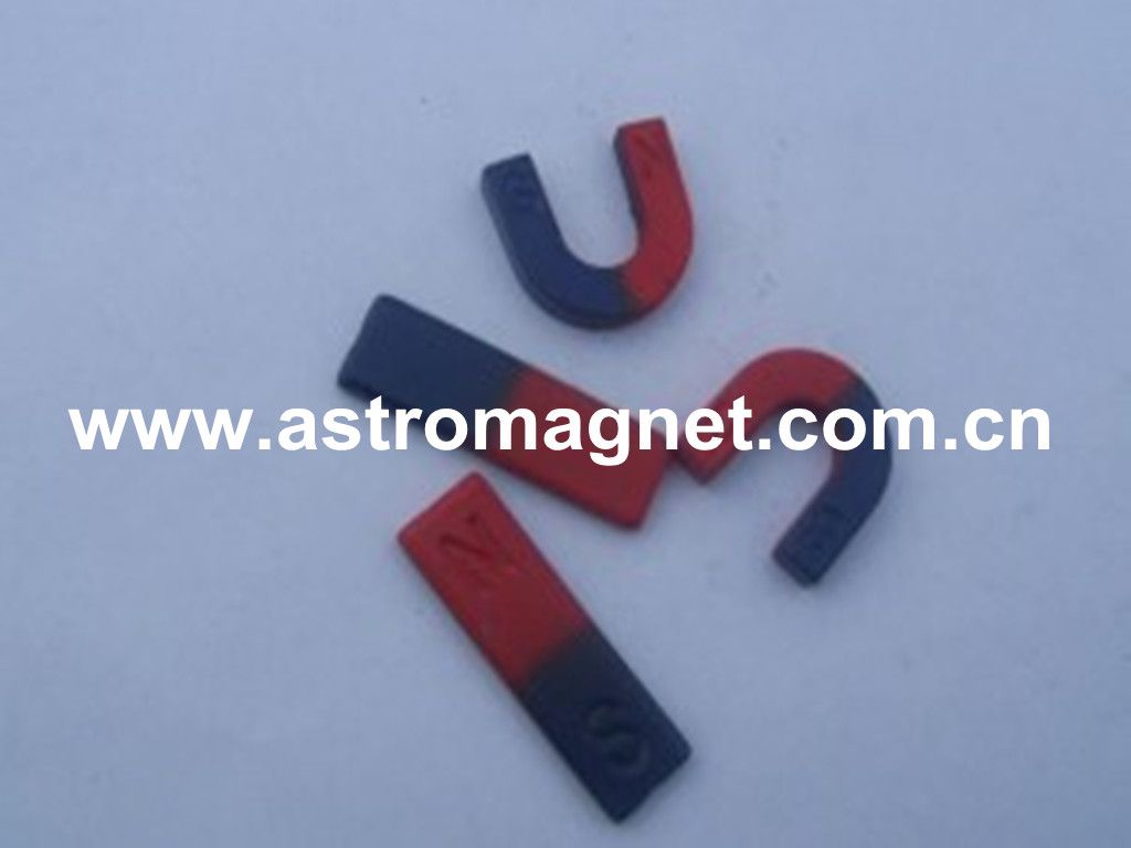 Educational    Magnet  with  widely   Usage