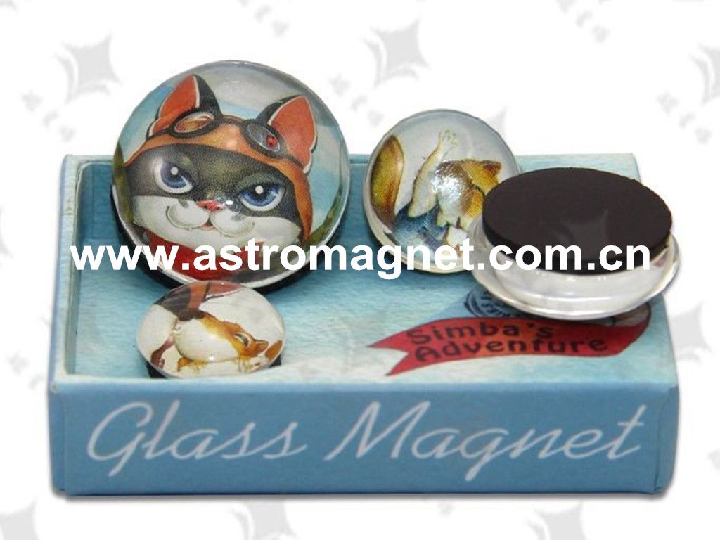 Glass  Magnet  with  various  beautiful  designs